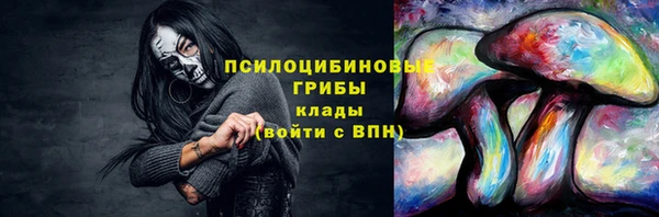ECSTASY Алексеевка