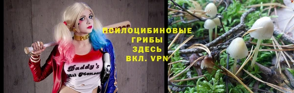 прущая мука Алексин