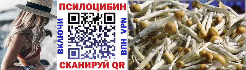 Псилоцибиновые грибы мицелий площадка официальный сайт Аргун