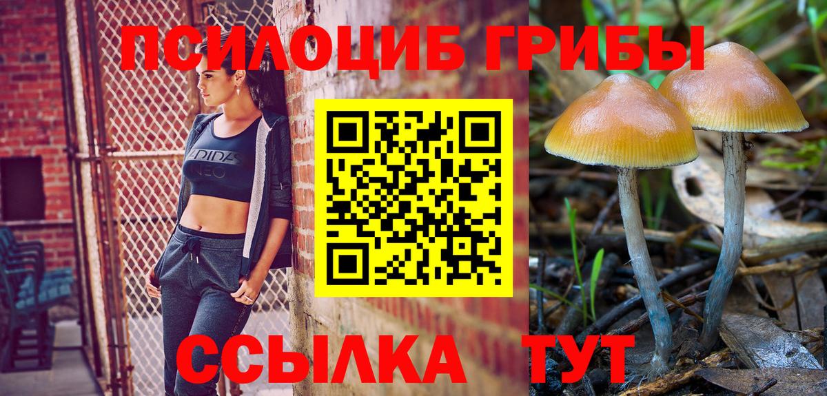 Псилоцибиновые грибы Magic Shrooms Аргун