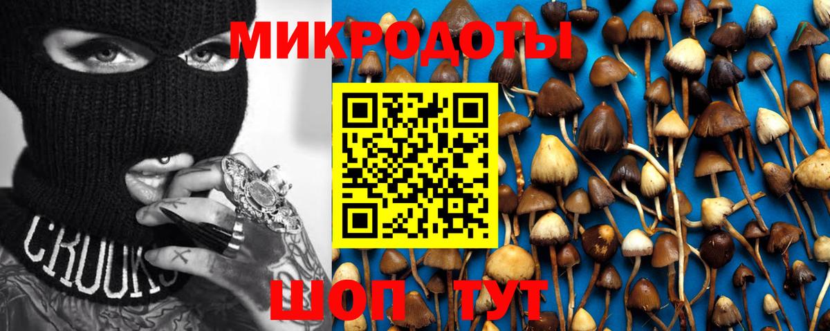 Галлюциногенные грибы мухоморы  Псилоцибиновые грибы мицелий  Вход с VPN  купить   Аргун 