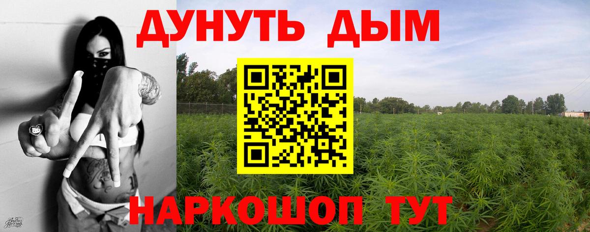 Аргун  Марихуана конопля  Конопля Amnesia  Вход с VPN 